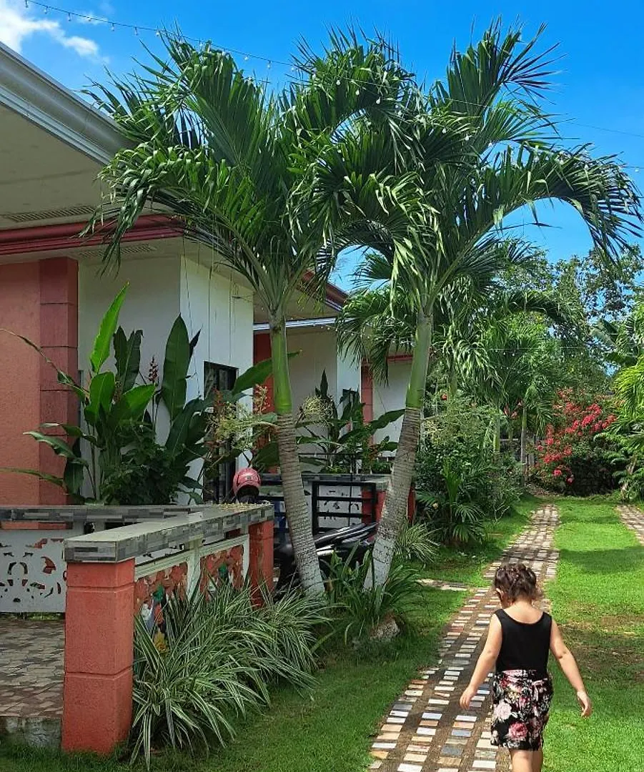 Jean Studio Apartment Panglao Philippines